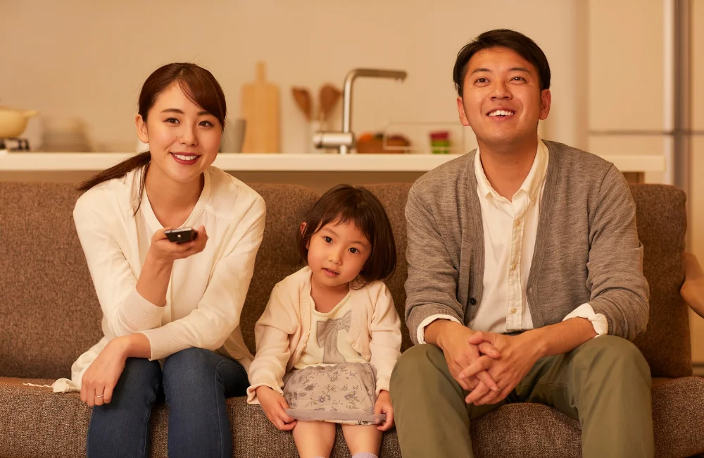 สรุปมาตรฐานสายไฟบ้าน