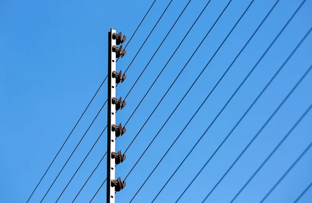 สาย SAC คืออะไร